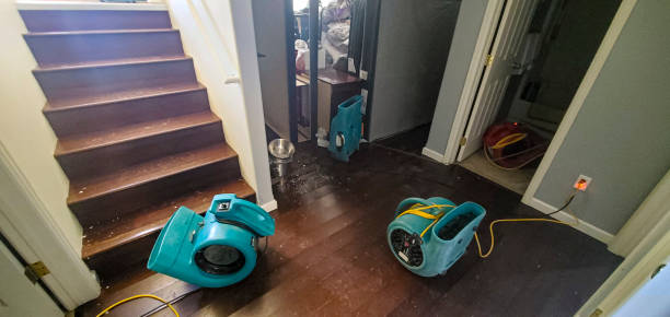 Best 24/7 water damage repair  in Okolona, MS