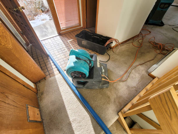 Best Sewage cleanup and water damage restoration  in Okolona, MS
