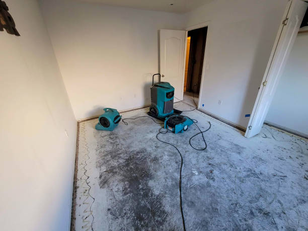 Water damage restoration mold remediation in Okolona, MS