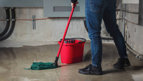 Best Water damage contractors near me  in Okolona, MS