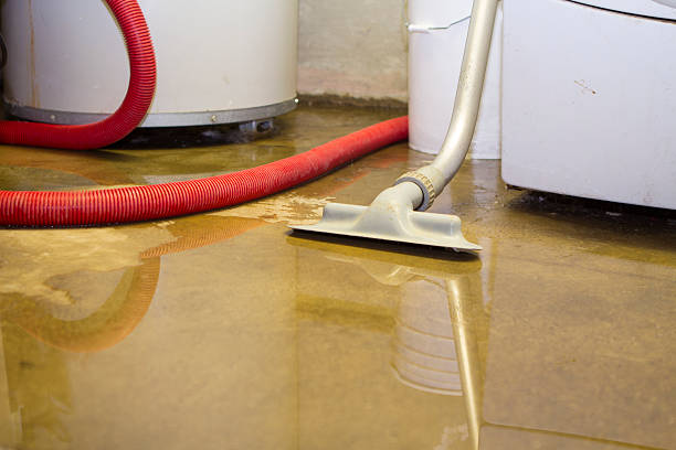 Best Residential water damage restoration  in Okolona, MS