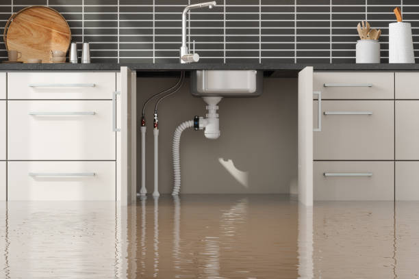 Best Water damage restoration near me  in Okolona, MS